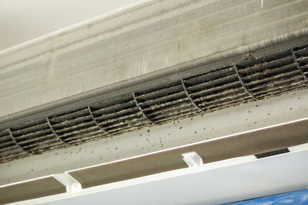 Best Air Duct Sanitizing Services  in Chickamau, GA